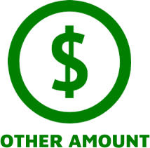 OTHER AMOUNT